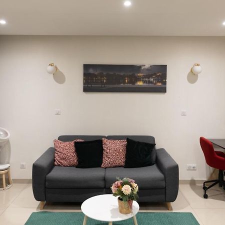 Élégant et très spacieux, mon studio vous séduira! Metz Extérieur photo